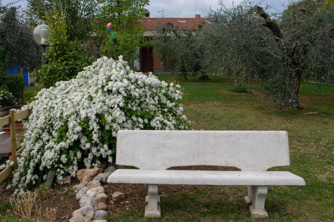 Bed and Breakfast El Rincon Del Artista Сойано-дель-Лаго Экстерьер фото