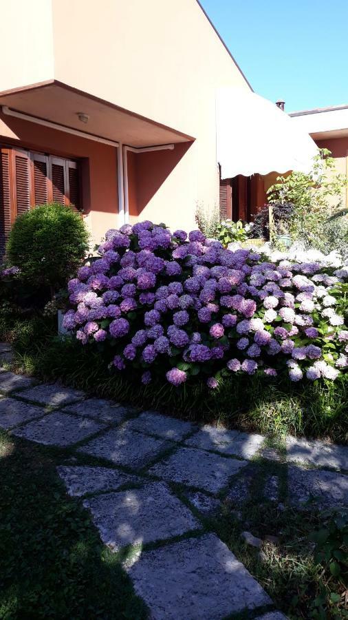 Bed and Breakfast El Rincon Del Artista Сойано-дель-Лаго Экстерьер фото